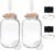 2 Pack Fermentation Jars 1 Gallon with Weights & Airlocks