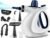 Handheld Portable Steam Cleaner with 11-Piece Accessory Set, Multi-Surface Steamer for Cleaning, All Natural Steam Cleaner for Home, Upholstery, Car Detailing, Walls, Kitchen and More