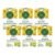 Traditional Medicinals Organic Roasted Dandelion Root Herbal Tea, Supports Healthy Digestion, (Pack of 6) – 96 Tea Bags Total,96.0 Count