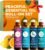 Essential Oil Roll On Set, 4 Pre-Diluted Blends – Sleep & Calm