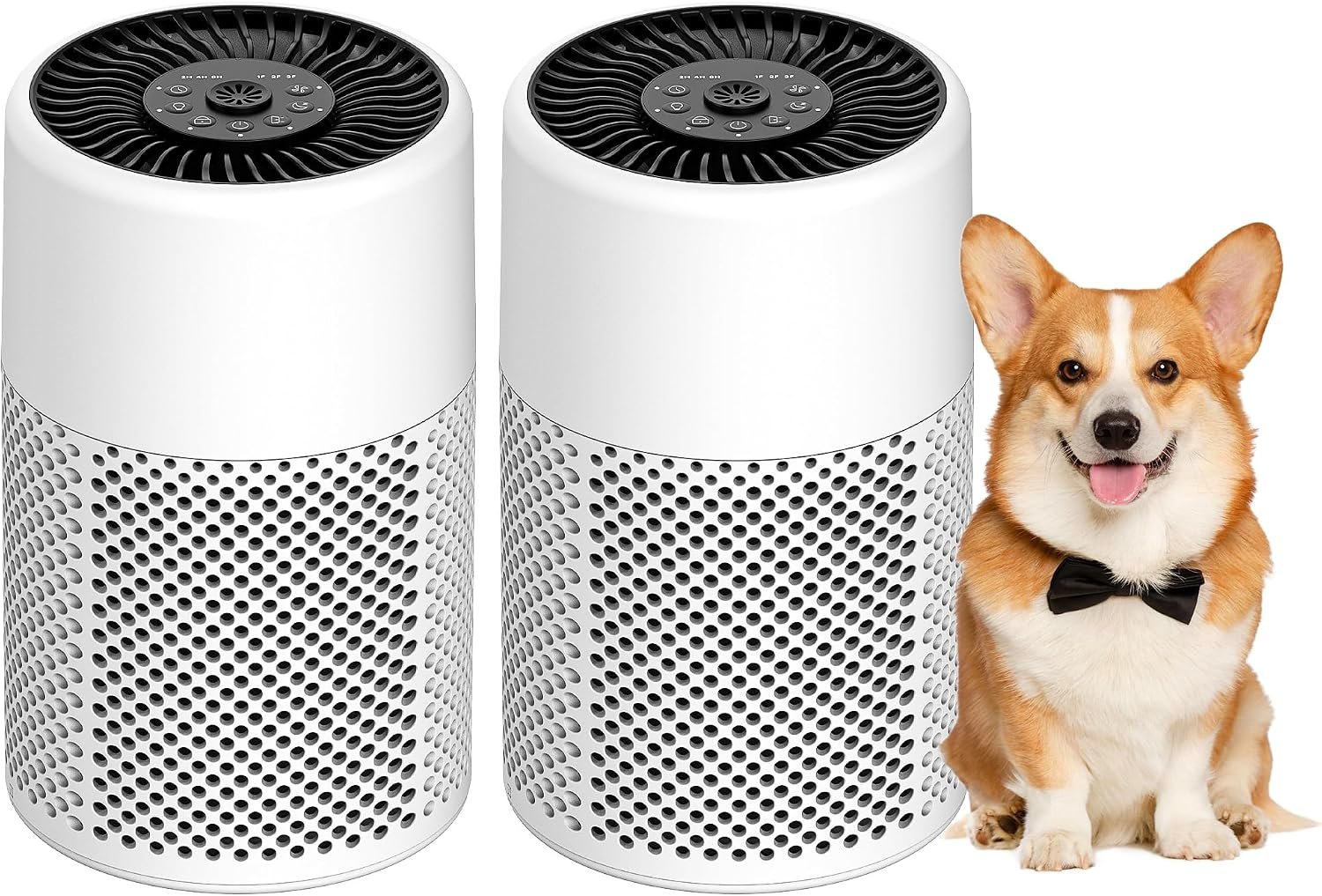 Air Purifiers for Bedroom, Dorm Room, True HEPA Filter for Smoke, White