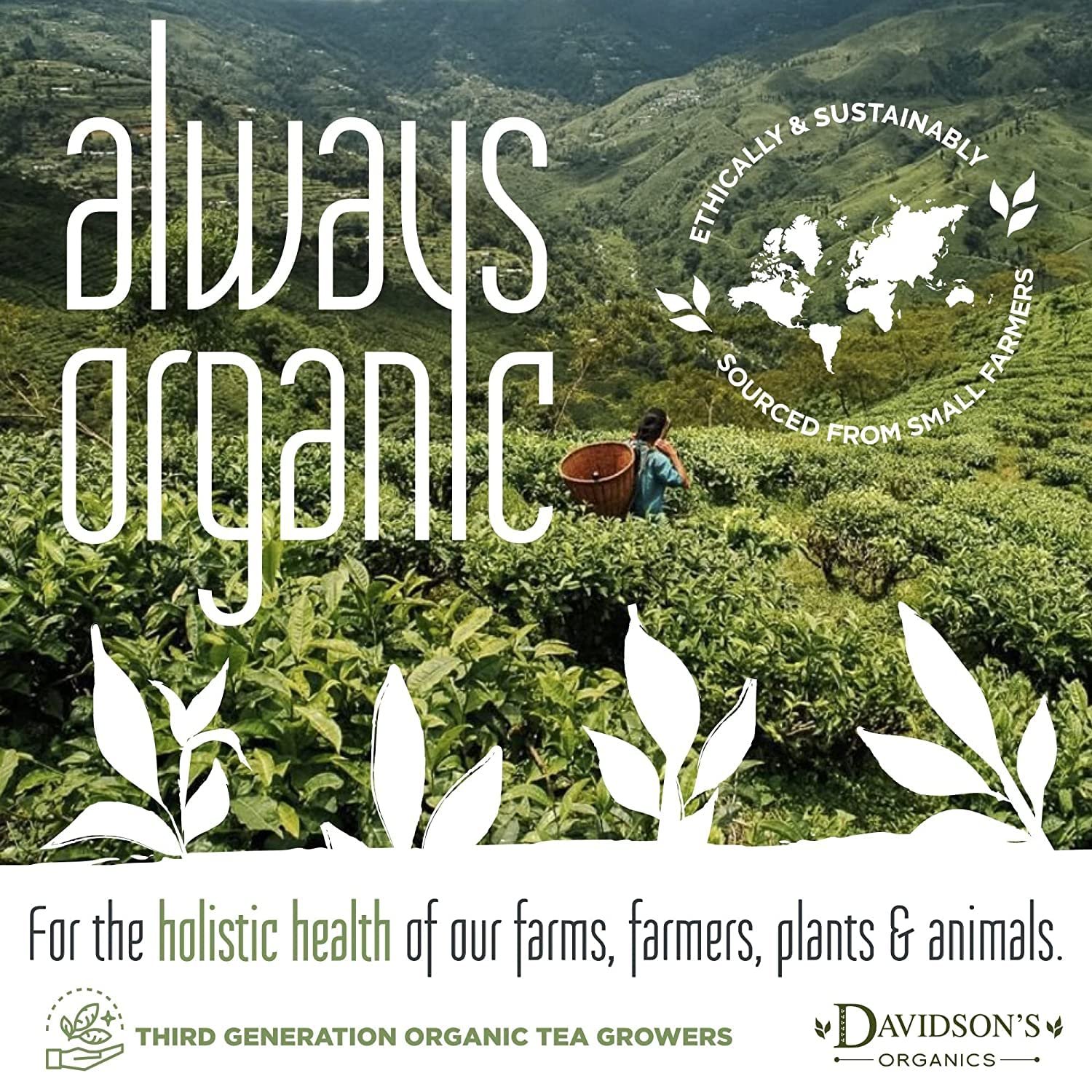 Davidson’s Organics, Moringa Chamomile Lavender, Loose Leaf Tea, 16-Ounce Bag