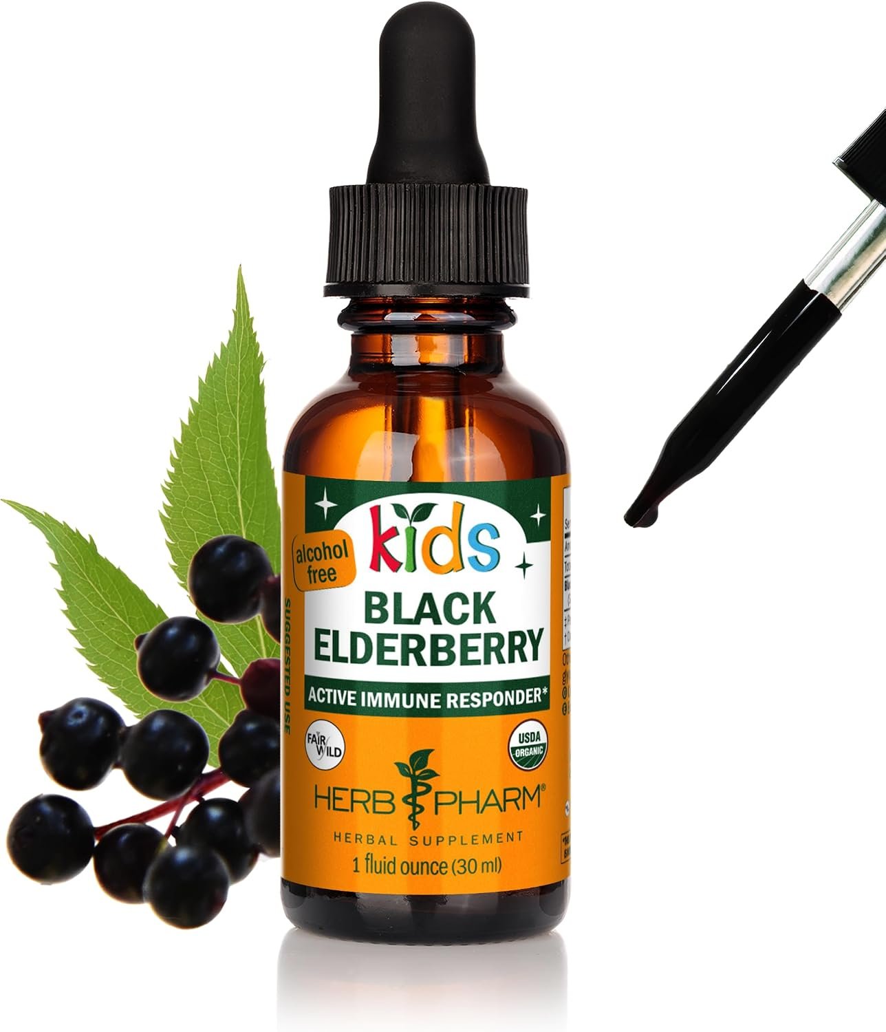 Herb Pharm Kids Certified-Organic Alcohol-Free Black Elderberry Glycerite Liquid Extract Drops, 1 Oz