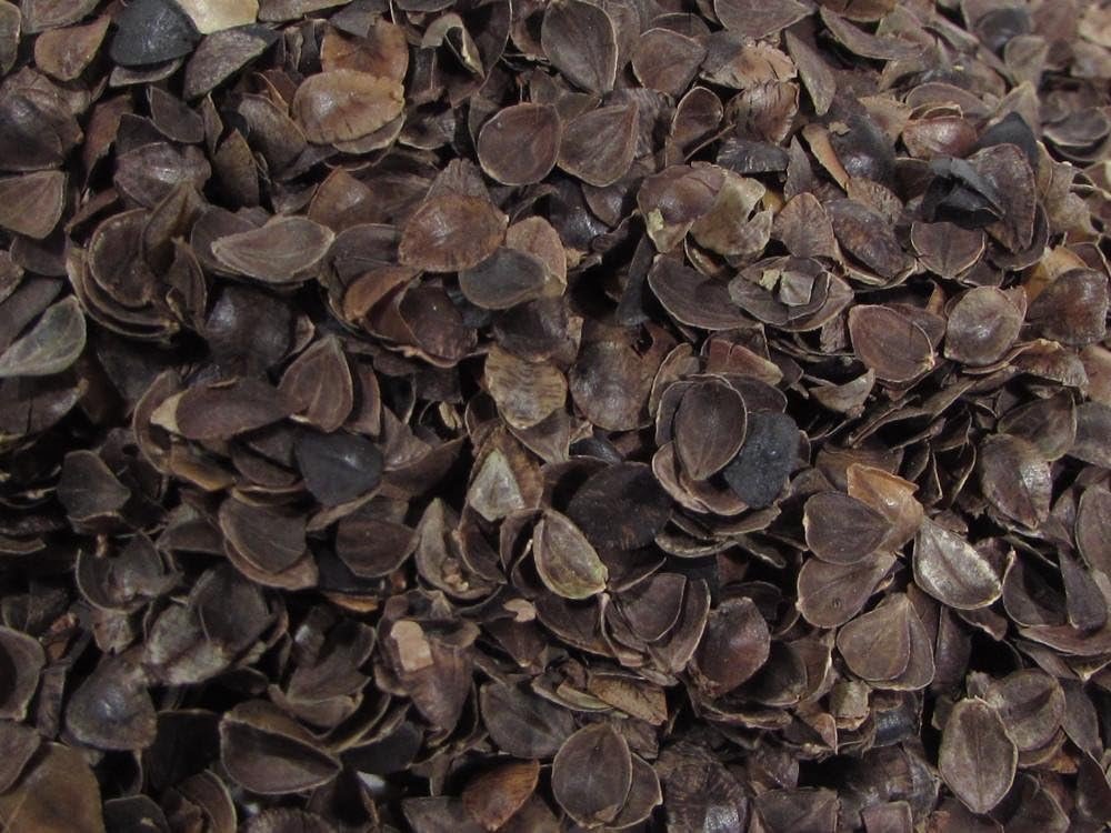 Organic Cotton Plus Buckwheat Hulls – Medium Grade – 5 Pounds